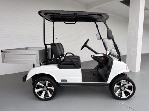 Evolution Turfman 200 Lithium Utility Golf Cart 02